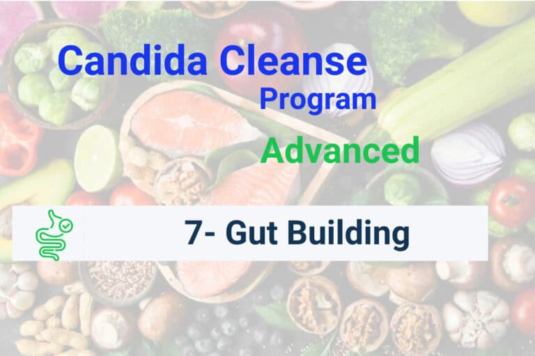 Gut Building
