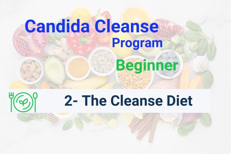The Cleanse Diet