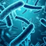 Close-up illustration of multiple blue rod-shaped beneficial bacteria. Yeastrix Daily Probiotic contains many beneficial strains.