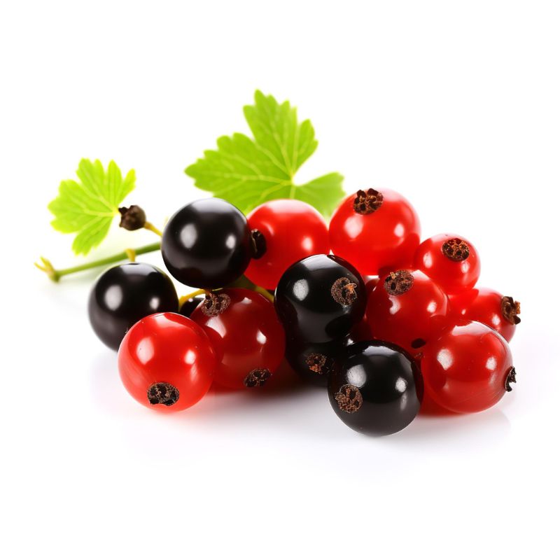 A cluster of red and black currants with green leaves, displayed on a white background, perfect for those following the candida diet.