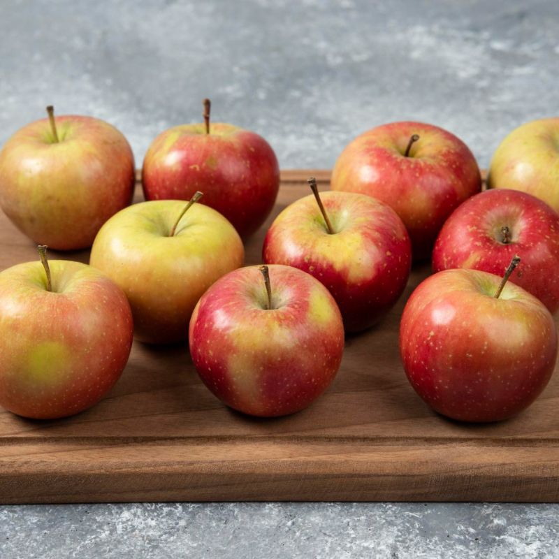 A group of ten red and yellow apples, perfect for a candida detox diet, are placed on a wooden cutting board against a gray background.