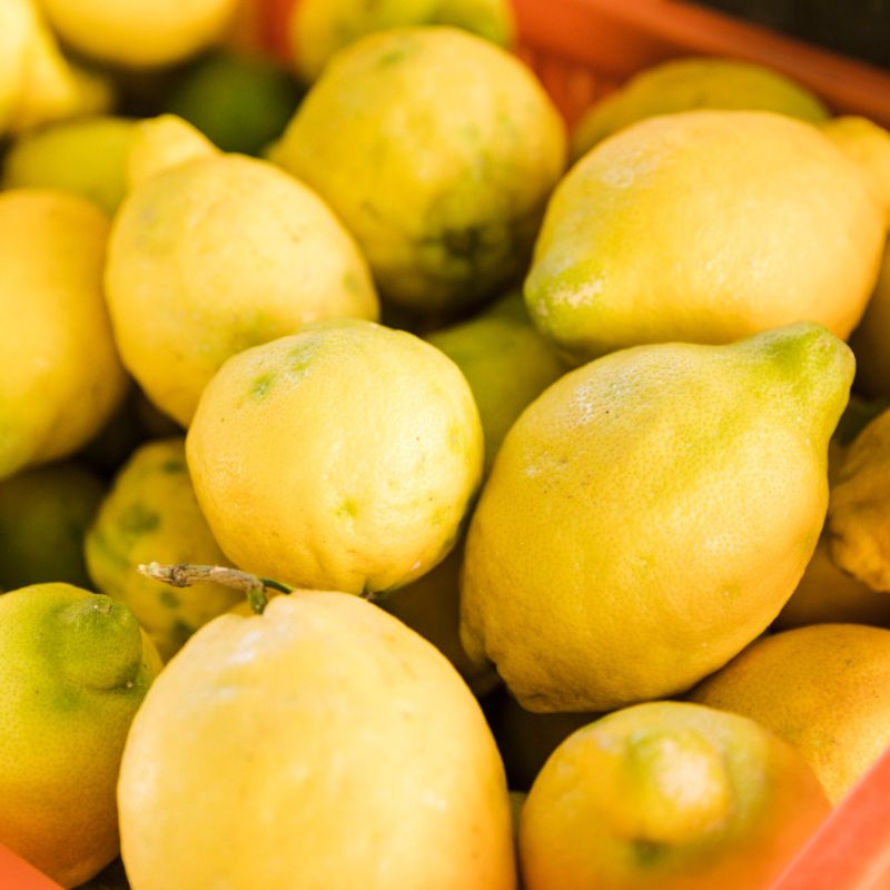 A close-up image of several lemons with yellow and green skin piled together in an orange container, perfect for those following an anti candida diet.