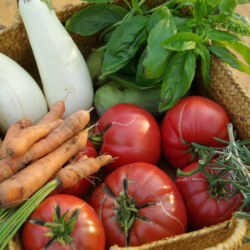 A basket filled with white eggplants, tomatoes, carrots, basil leaves, a green squash, and a sprig of rosemary.
