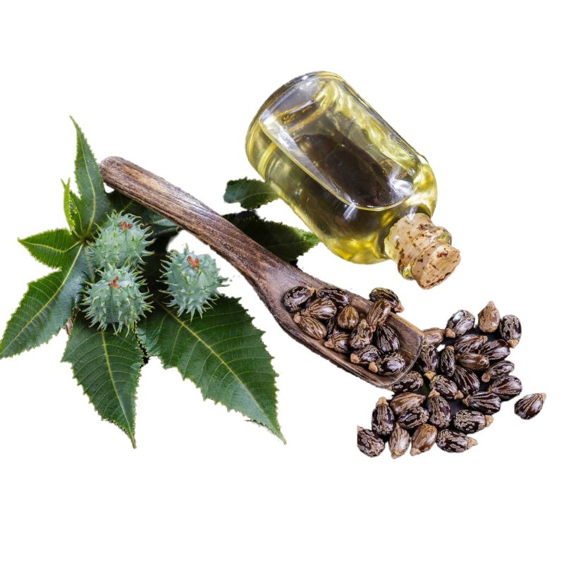 A wooden spoon filled with castor beans, green castor leaves, and spiky fruits next to a small glass bottle of castor oil with a cork stopper.