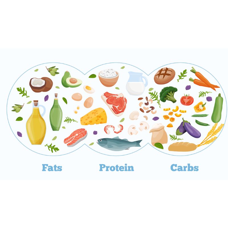 An illustration of three overlapping circles labeled "Fats," "Protein," and "Carbs," each containing corresponding foods like oils, eggs, meats, bread, vegetables, and milk. The diagram emphasizes the balanced diet essential for managing candida albicans.