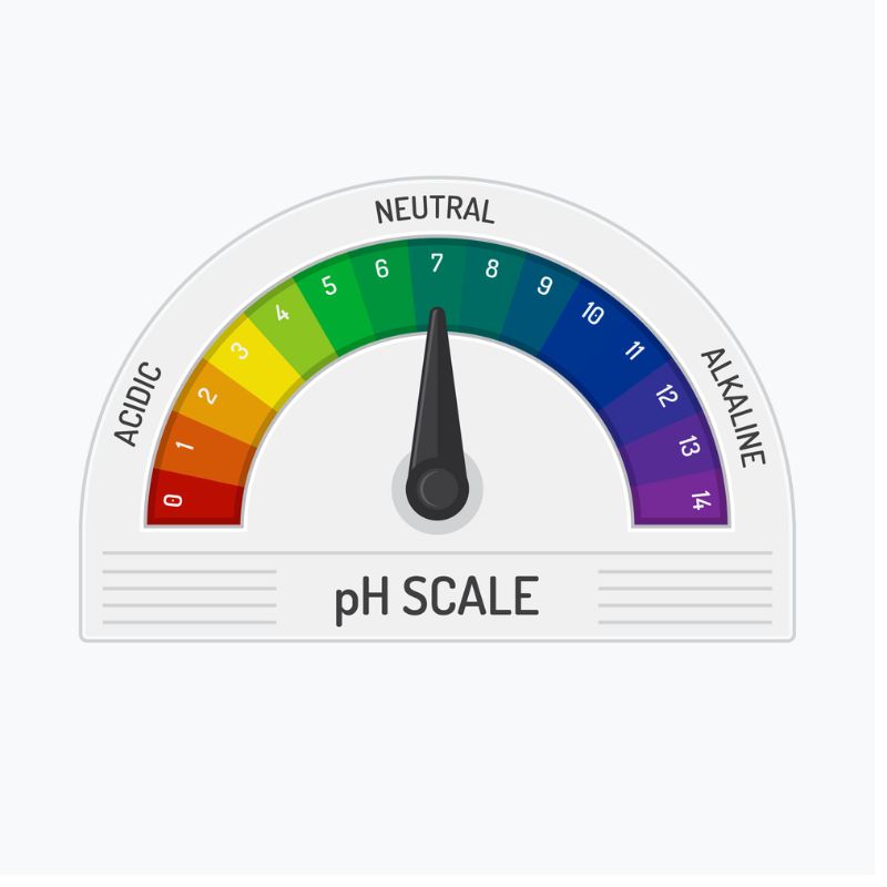 An illustration of a pH scale meter, ranging from 0 (acidic) to 14 (alkaline), with the needle pointing to 7, indicating a neutral pH, essential for maintaining balance and potentially preventing candida albicans thriving in extreme conditions.