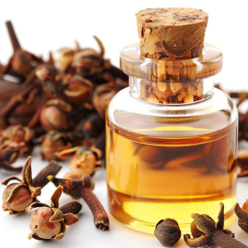 A small glass bottle of clove oil with a cork stopper is surrounded by whole dried cloves.