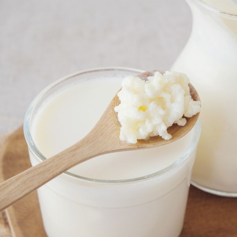 A wooden spoon holding kefir grains is placed over a glass of kefir with a pitcher of kefir in the background.