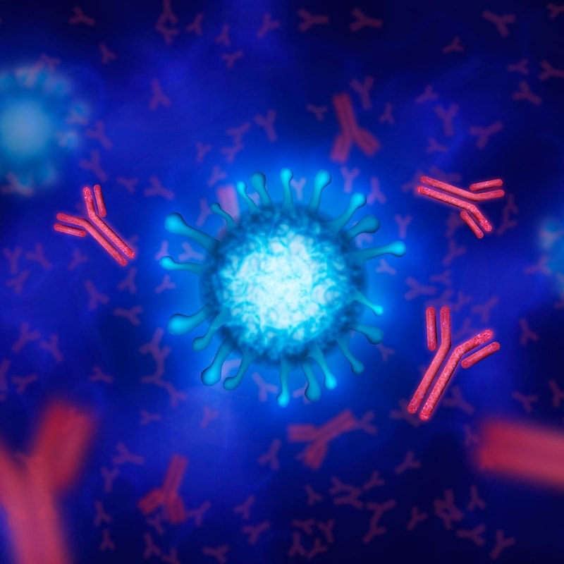 Illustration of a virus particle surrounded by antibodies.